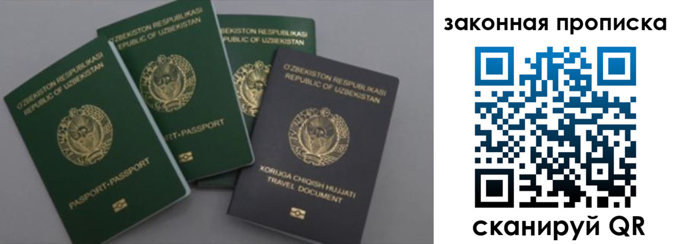 прописка законно в Марксе